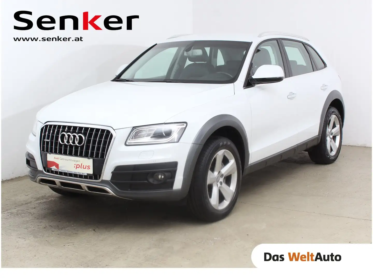 Audi Q5 2.0 TDI quattro offroad intense Weiß - 1