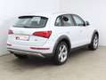 Audi Q5 2.0 TDI quattro offroad intense Weiß - thumbnail 3