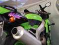 Kawasaki Ninja ZX-6R 600 - 2000 - km 31438 Grün - thumbnail 18