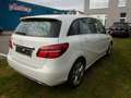 Mercedes-Benz B 220 d Aut. Edition Urban.LED.Pano.Navi.Kamera Weiß - thumbnail 4