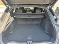 Audi Q5 TDI 204 CV mHEV+ S tronic quattro S line edition Gris - thumbnail 10