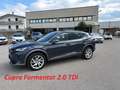 CUPRA Formentor Formentor 2020 2.0 tdi 150cv Gris - thumbnail 1