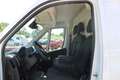 Fiat Ducato Maxi L4H3 180 MT ACC Kamera Klimaautomat... Weiß - thumbnail 21