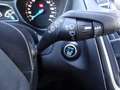 Ford Focus Wagon 1.5 Titanium | CRUISE | LMV | AIRCO | STOELV Bleu - thumbnail 36