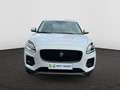 Jaguar E-Pace P200 2.0 T MHEV AWD 200 PK ZF-8 / Leder / Camera / Cruise Control Blanco - thumbnail 6