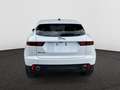 Jaguar E-Pace P200 2.0 T MHEV AWD 200 PK ZF-8 / Leder / Camera / Cruise Control Blanco - thumbnail 11