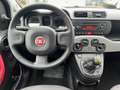 Fiat Panda 1.3 mjt 16v Easy 75cv ADATTA AI NEOPAT. PERFETTA! Negro - thumbnail 10