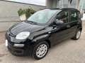 Fiat Panda 1.3 mjt 16v Easy 75cv ADATTA AI NEOPAT. PERFETTA! Negro - thumbnail 3