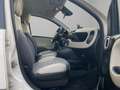 Fiat Panda III 2012 0.9 t.air turbo Trekking 85cv Beige - thumbnail 12