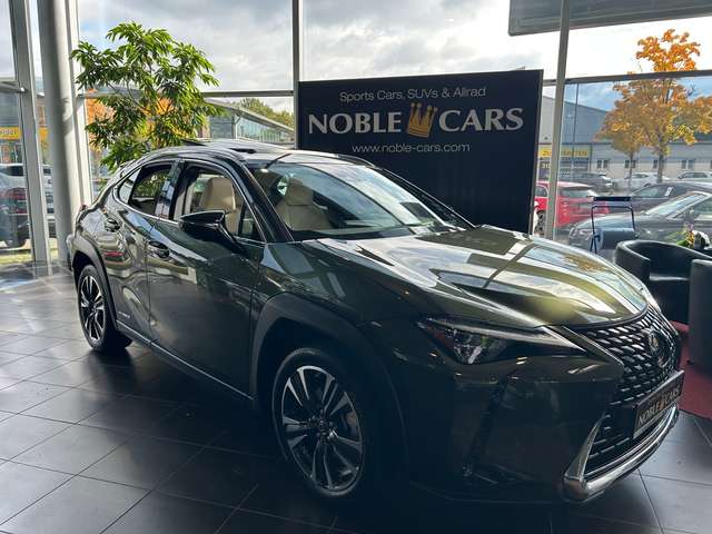 Imagine Lexus 250 h Luxury PANO 360°