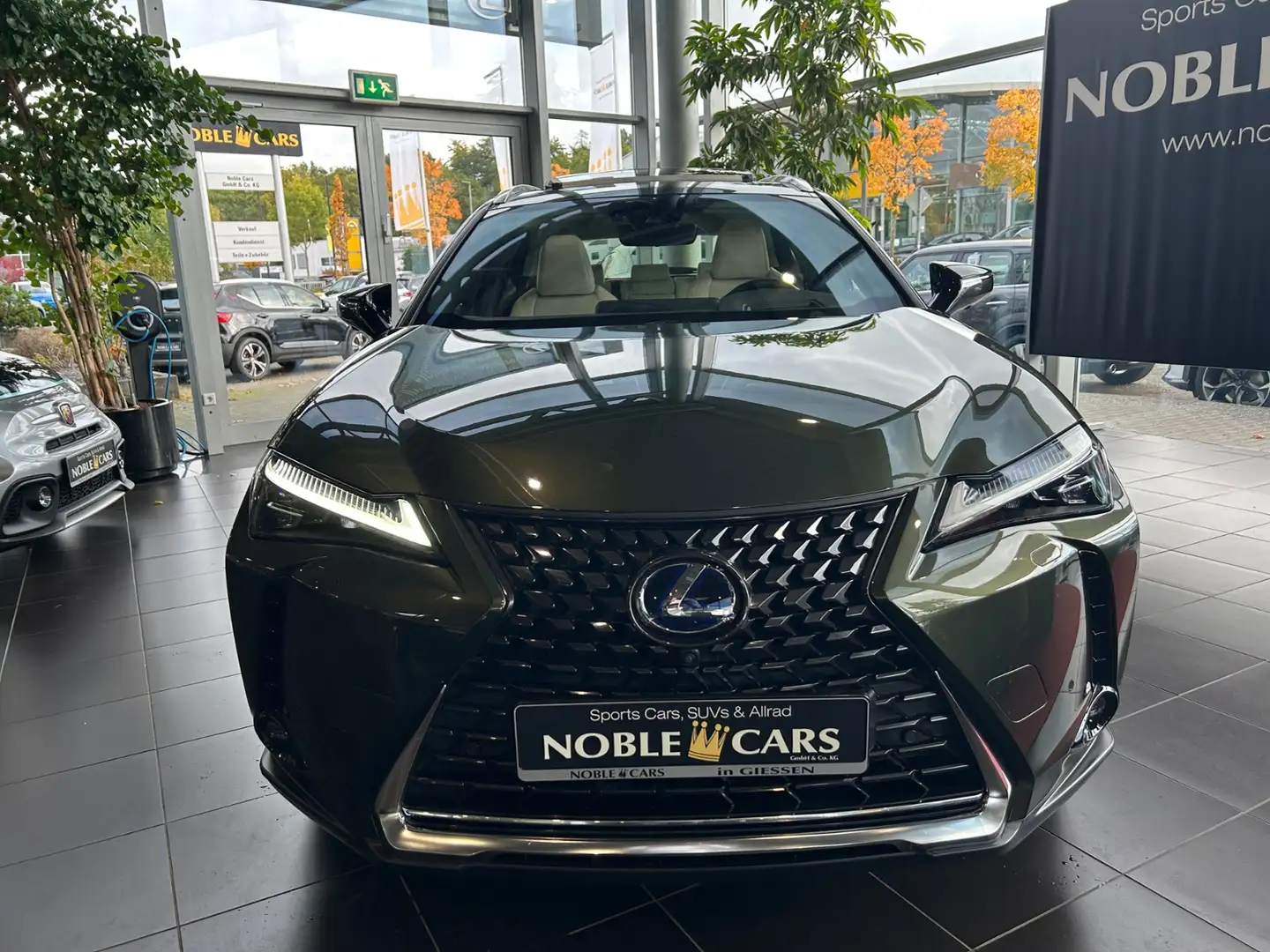 Lexus 250 h Luxury PANO 360° Zelená - 2