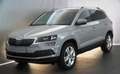 Skoda Karoq Style Seda Steel! Stahl Grau! Grau - thumbnail 1