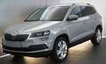 Skoda Karoq Style Seda Steel! Stahl Grau! Grau - thumbnail 12