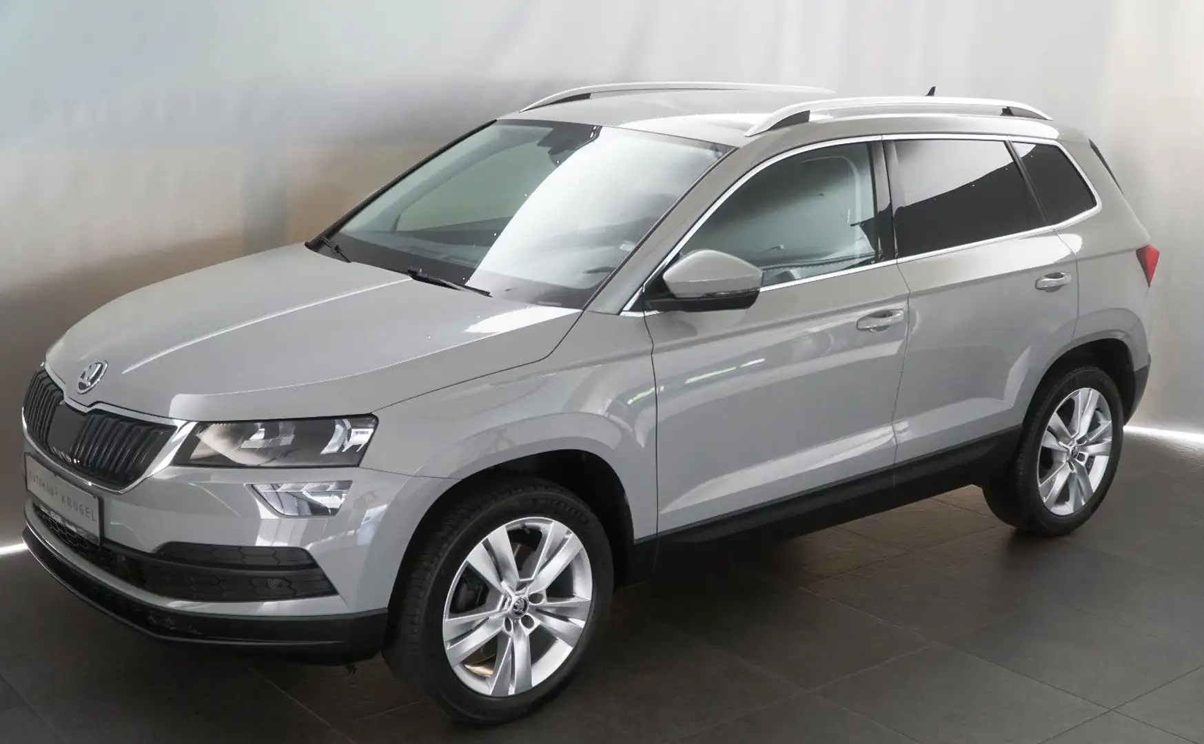 Skoda Karoq Style Seda Steel! Stahl Grau! Grau - 2