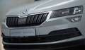 Skoda Karoq Style Seda Steel! Stahl Grau! Grau - thumbnail 3