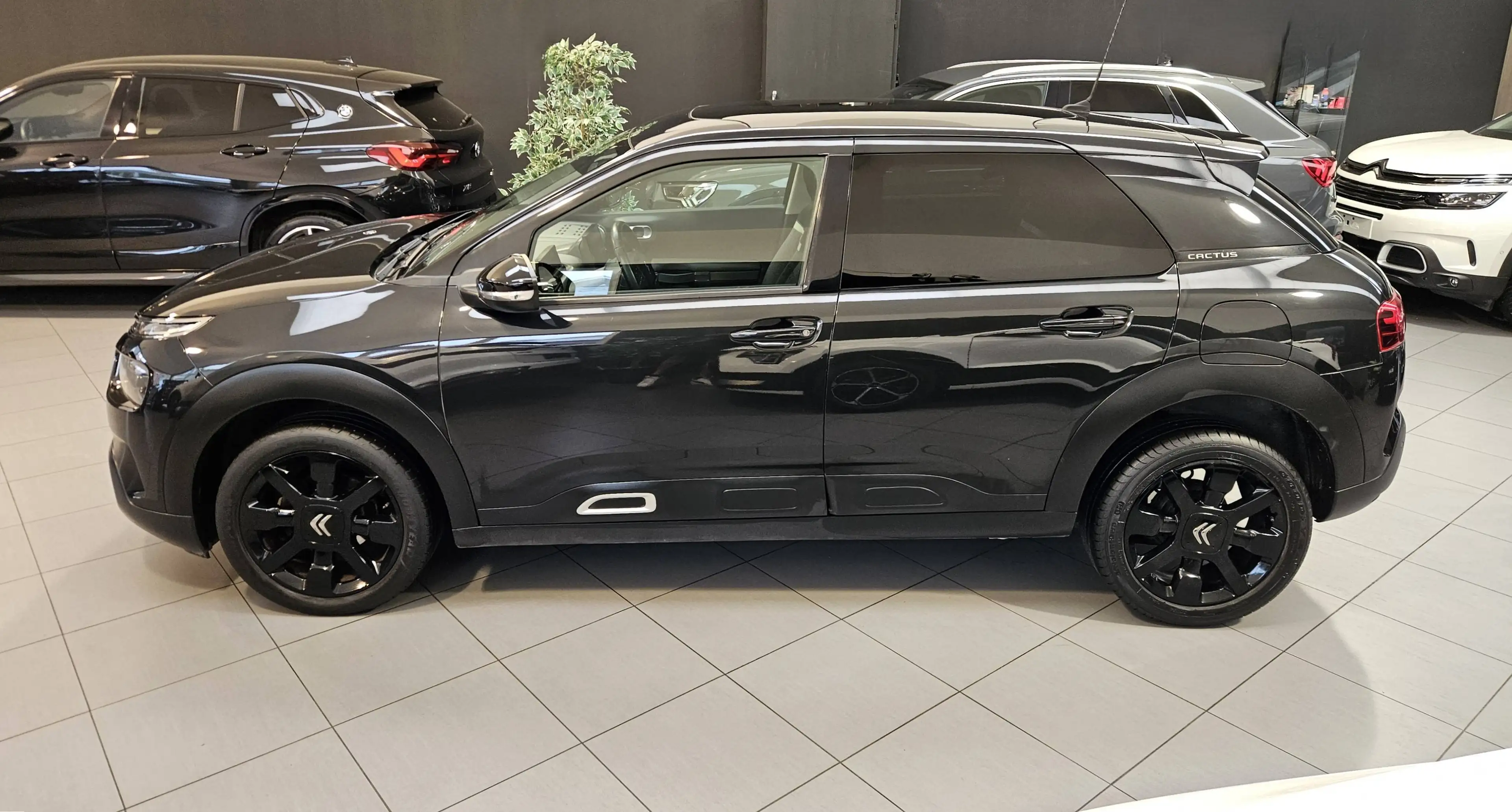Citroen C4 Cactus C4 CACTUS 1.2i SHINE,GPS,CAMERA,TOIT PANORAMIQUE,ANDROID,GARANTIE 1 AN — photo 7