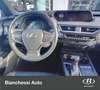 Lexus UX 250h Hybrid Premium - thumbnail 11