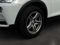 BMW X3 xDrive20d Österreich-Paket Aut. Weiß - thumbnail 13