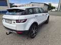 Land Rover Range Rover Evoque Prestige 2,2 TD4 Aut. - thumbnail 1