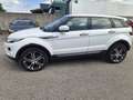 Land Rover Range Rover Evoque Prestige 2,2 TD4 Aut. - thumbnail 8