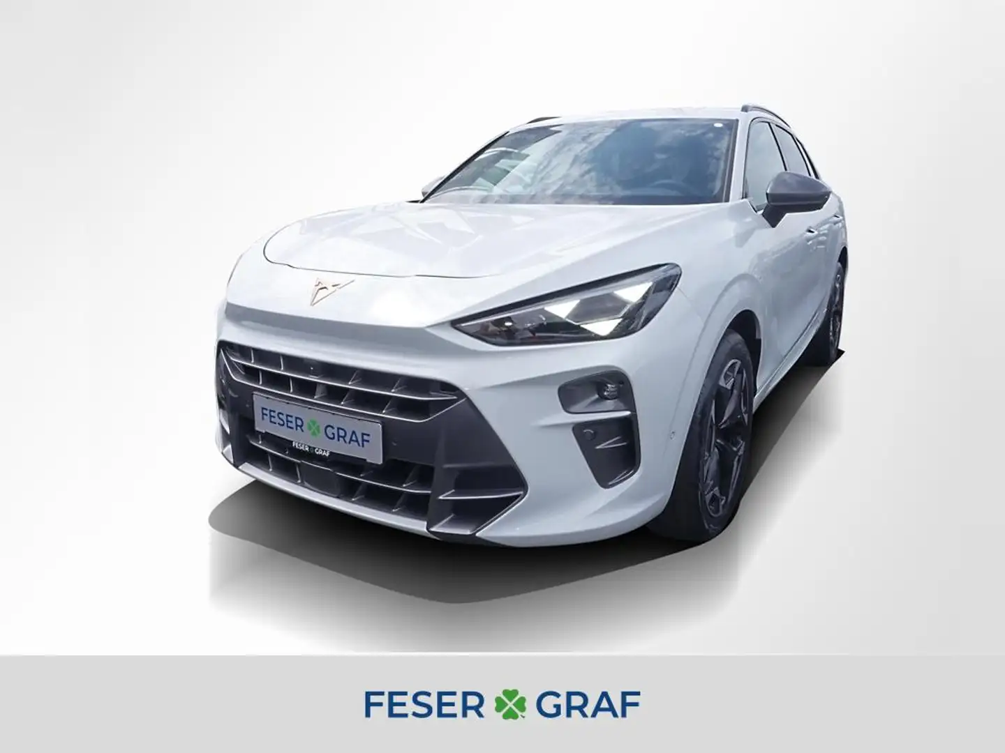 CUPRA Terramar 2.0 TSI 4Drive NAVI, SHZ, AHK Weiß - 1
