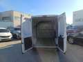 Fiat Ducato FIAT Industrial  Manual de 4 Puertas - thumbnail 5