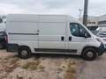 Fiat Ducato FIAT Industrial  Manual de 4 Puertas - thumbnail 4