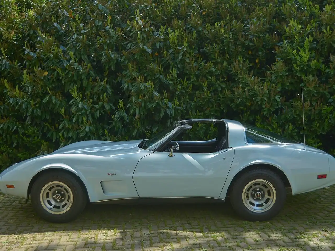 Chevrolet Corvette C3 25th Anniversary Edition, foto 8