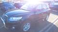 Hyundai SANTA FE 2.2 CRDi 4 WD Premium XENON-LEDER-NAVI Schwarz - thumbnail 4