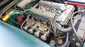 Alfa Romeo Giulia Verde - thumbnail 9