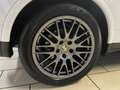 Porsche Cayenne Diesel Platinum Edt. PANO STDHZG CAM AIR Blanc - thumbnail 10