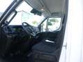 Iveco Daily 60C18 3.0hpi 180cv FRIGO FRC -20 GRADI Anno 2021 Bianco - thumbnail 7