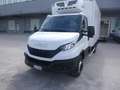 Iveco Daily 60C18 3.0hpi 180cv FRIGO FRC -20 GRADI Anno 2021 Bianco - thumbnail 4