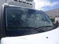 Iveco Daily 60C18 3.0hpi 180cv FRIGO FRC -20 GRADI Anno 2021 Bianco - thumbnail 15