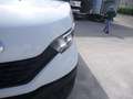 Iveco Daily 60C18 3.0hpi 180cv FRIGO FRC -20 GRADI Anno 2021 Bianco - thumbnail 14