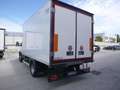Iveco Daily 60C18 3.0hpi 180cv FRIGO FRC -20 GRADI Anno 2021 Bianco - thumbnail 3