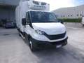 Iveco Daily 60C18 3.0hpi 180cv FRIGO FRC -20 GRADI Anno 2021 Bianco - thumbnail 1