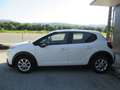 Citroen C3 1.6 BLUE HDI 100CH FEEL BUSINESS Blanc - thumbnail 2