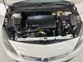 Opel Astra Astra Sports Tourer 1.7 cdti Cosmo 110cv Bianco - thumbnail 15