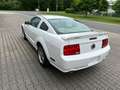 Ford Mustang GT 4,6 Coupe V8 Premium Schalter Shaker Weiß - thumbnail 9
