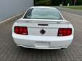 Ford Mustang GT 4,6 Coupe V8 Premium Schalter Shaker Weiß - thumbnail 11