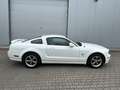 Ford Mustang GT 4,6 Coupe V8 Premium Schalter Shaker Blanc - thumbnail 6