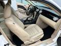 Ford Mustang GT 4,6 Coupe V8 Premium Schalter Shaker Blanc - thumbnail 14
