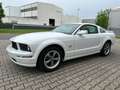 Ford Mustang GT 4,6 Coupe V8 Premium Schalter Shaker Weiß - thumbnail 4