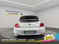 Volkswagen Maggiolino Cabrio 1.6 tdi Design 105cv Weiß - thumbnail 6