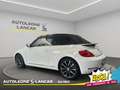 Volkswagen Maggiolino Cabrio 1.6 tdi Design 105cv Weiß - thumbnail 5