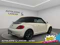 Volkswagen Maggiolino Cabrio 1.6 tdi Design 105cv Weiß - thumbnail 7