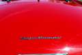 Alfa Romeo 2000 2000 Spider Rojo - thumbnail 17
