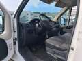 Peugeot Boxer 3.0 - 130KW Pritsche L5,Maxi, mit Koffer Weiß - thumbnail 10