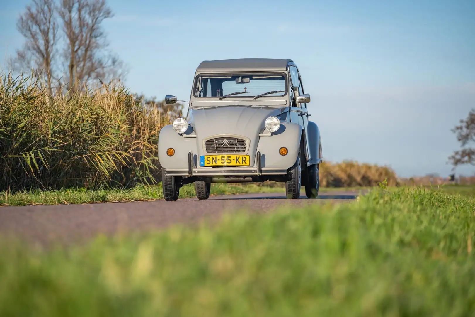 Citroen 2CV 6 Club Gri - 1